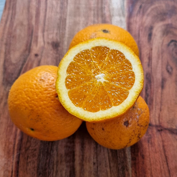 Washington Navel Orange Tree