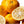 Yuzu Citrus Tree